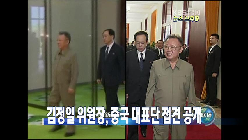 [뉴스 브리핑] 김정일 위원장, 중국 대표단 접견 공개 外