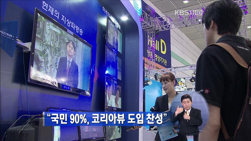 “국민 90%, 코리아뷰 도입 찬성”