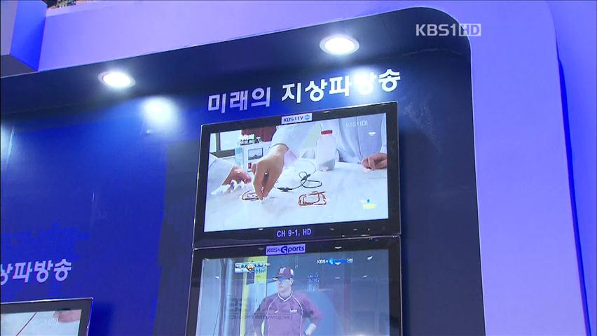 “국민 90%, 코리아뷰 찬성”