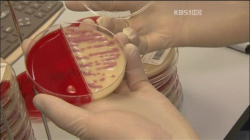 유럽 변종 대장균, 강한 ‘인체 간 전염’ 첫 확인