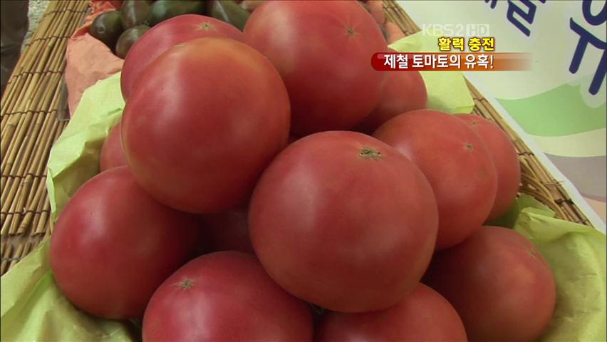 [활력충전] 여름 건강식 토마토, 백배 즐기기