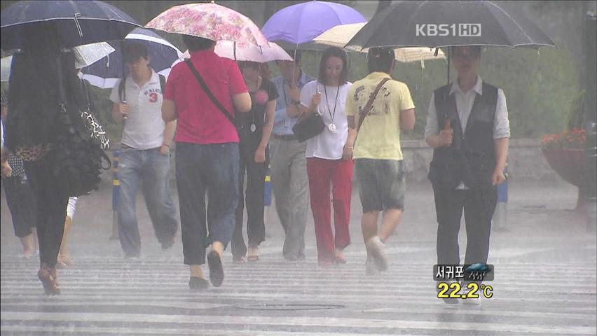 전국 장마 시작…내일까지 최고 150㎜