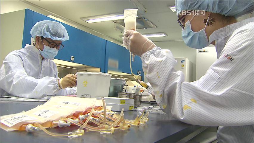 ‘제대혈법 시행’ 국가 관리…난치병 치료 도움