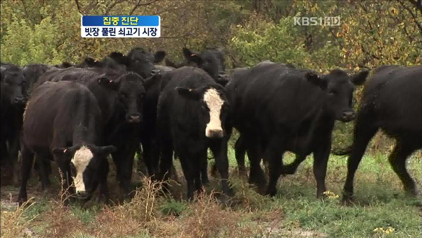 [집중진단] 캐나다 쇠고기 수입…한우농가 ‘울상’