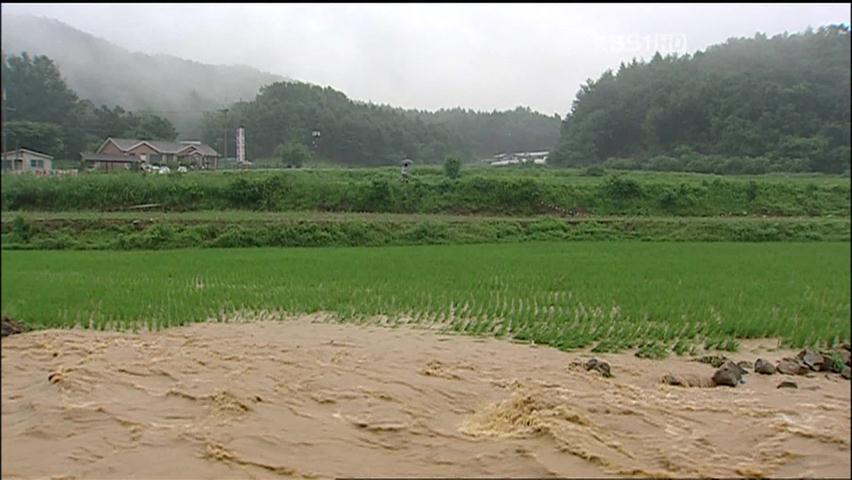 횡성 호우경보 등 강원 지역 비 확대