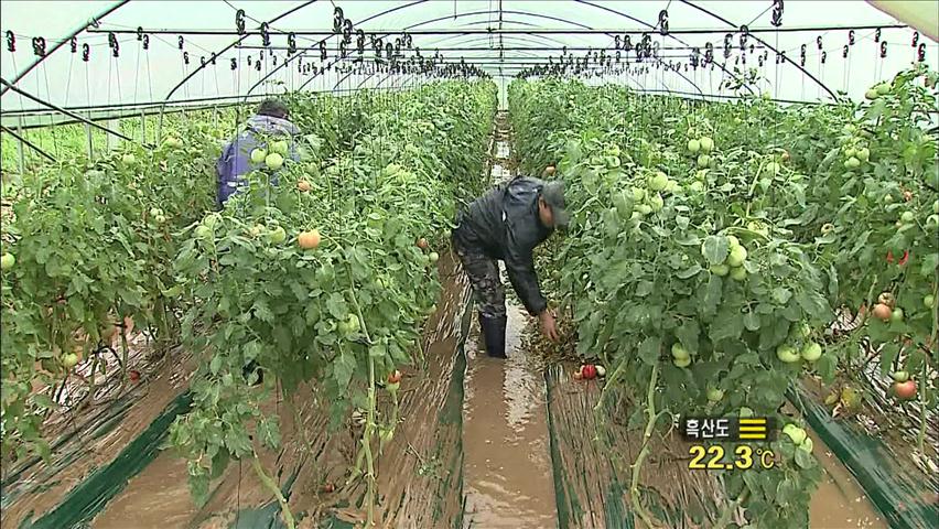 충청·남부 농경지 침수…저수지 범람 위기