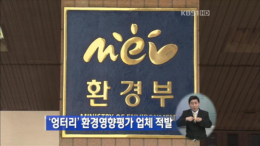 ‘엉터리’ 환경영향평가 업체 적발