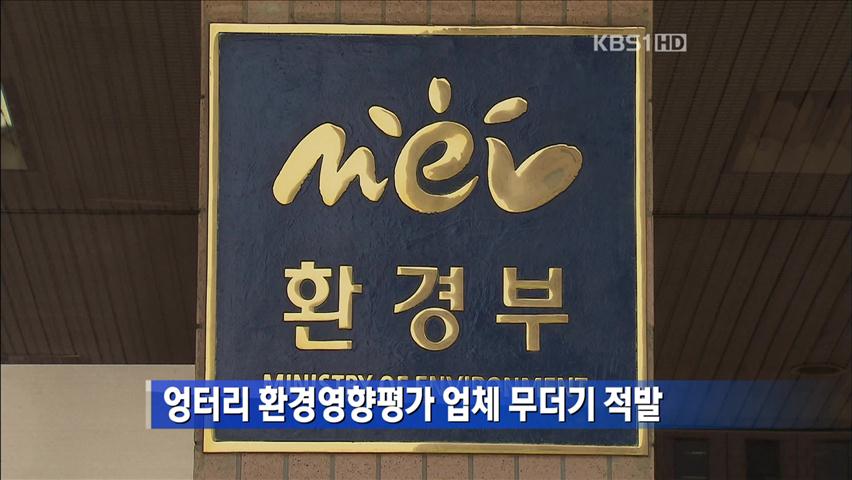 엉터리 환경영향평가 업체 무더기 적발