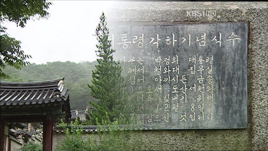 [단독] 도산서원 ‘박정희 금송’, 알고 보니 ‘가짜’