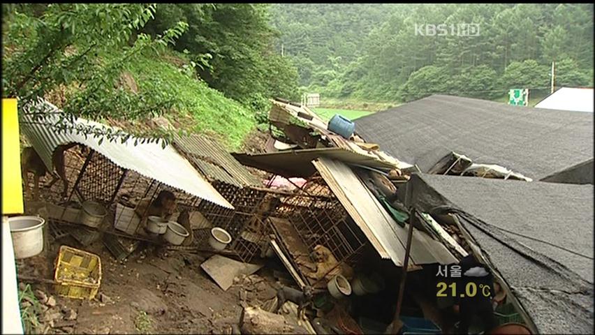 곳곳서 산사태 ‘위험 방치’…인명 피해 속출