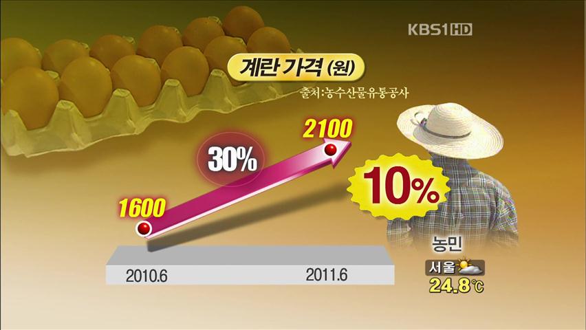 농민들, 농산물 가격 올라도 내려도 ‘한숨’