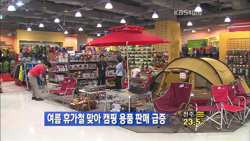 [생생경제] 여름 휴가철 맞아 캠핑용품 판매 급증