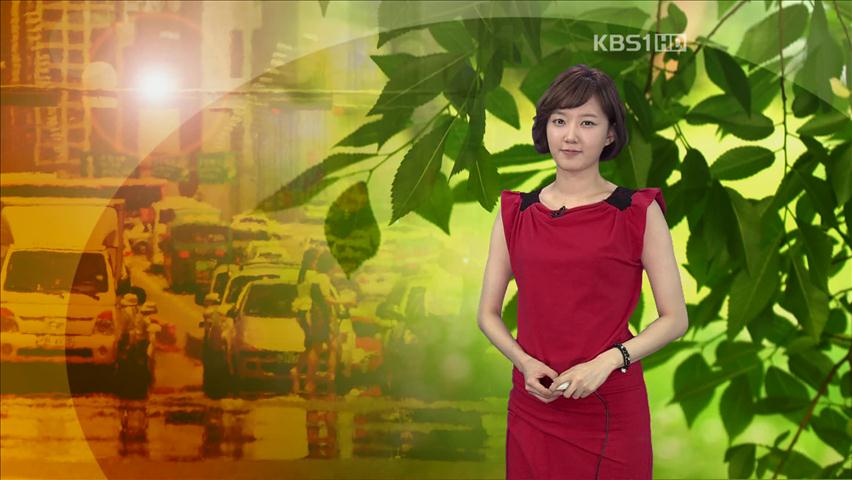 전국 대부분 폭염…충남·호남 소나기