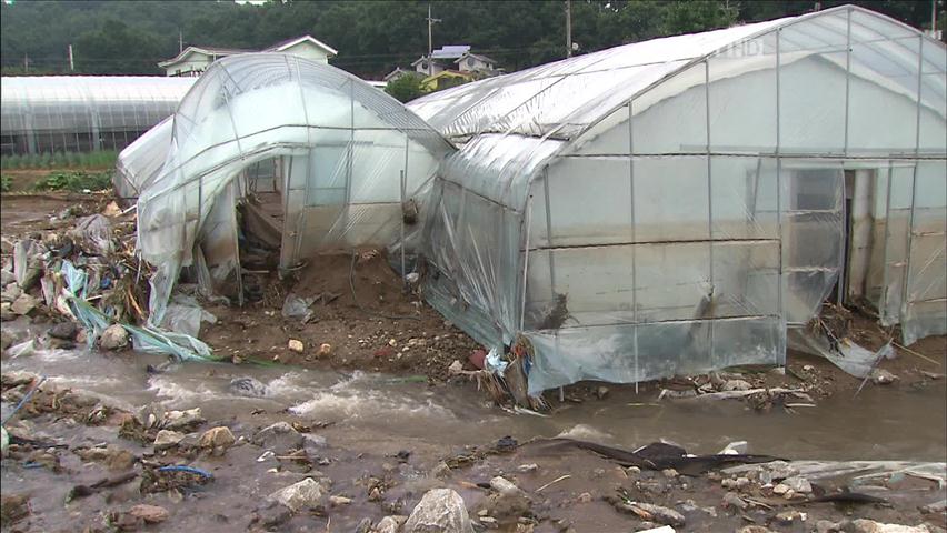 ‘삶의 터전 폐허로…’ 농민·상인 살 길 막막