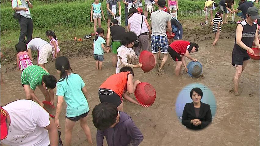 방학·휴가철 농촌체험 활동 인기 최고