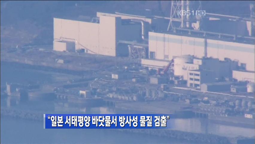 “일본 서태평양 바닷물서 방사성 물질 검출”