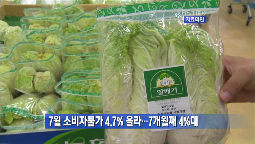 7월 소비자물가 4.7%…7개월째 4%대