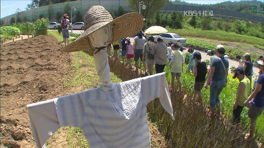 서울 도심 속 ‘자연 체험’ 인기