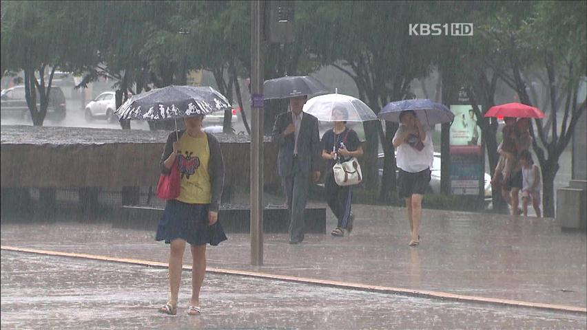 중부 밤새 최고 100㎜…태풍 ‘무이파’ 북상