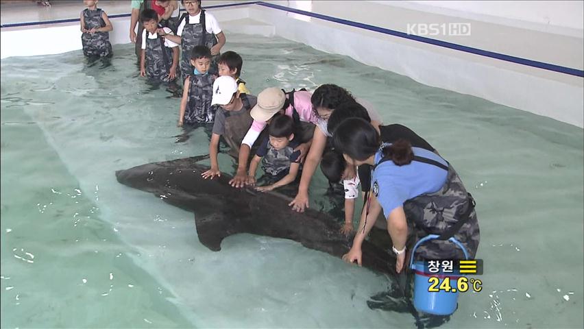 보는 관광은 그만!…체험형 피서가 뜬다