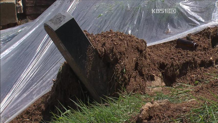 폭우로 명절 앞 둔 조상묘 쑥대밭