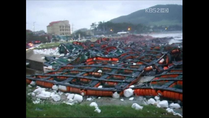 전남, 양식장·방파제 등 피해 속출