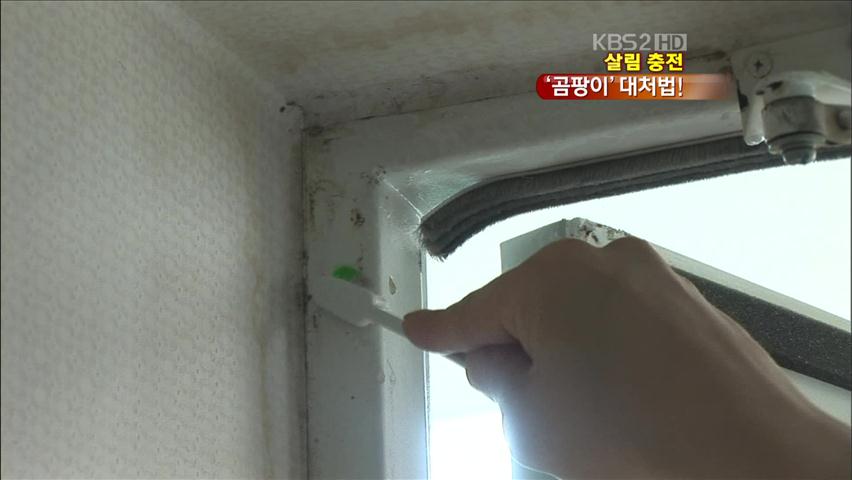 [살림충전] 장마 뒤 불청객 ‘곰팡이’ 잡는 법!