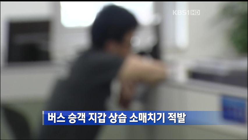 버스 승객 지갑 상습 소매치기 적발