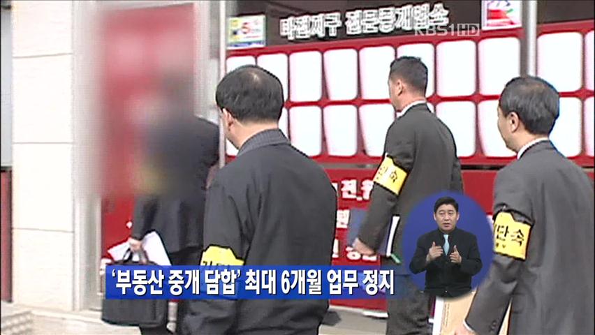 ‘부동산 중개 담합’ 최대 6개월 업무 정지