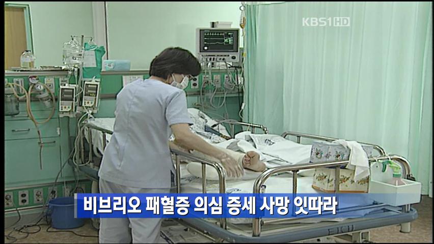 비브리오 패혈증 의심 증세 사망 잇따라