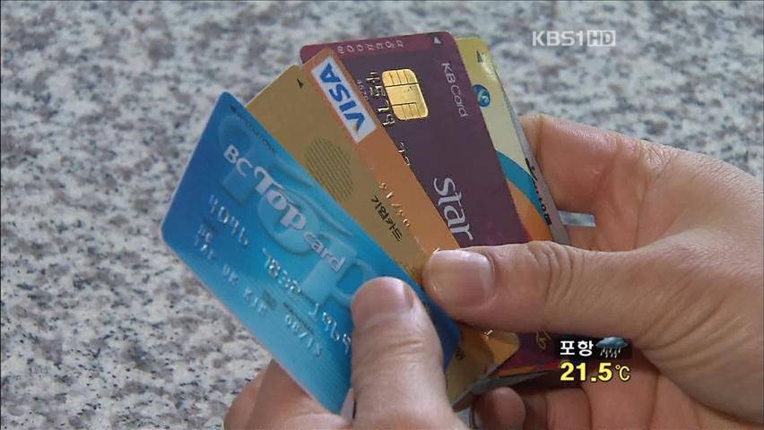 [생생경제] 국민 1명 당 카드 2.5장 보유