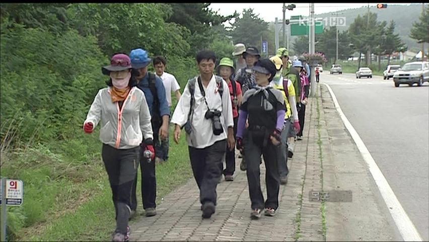 산·바다 어우러진 ‘강원도 명품길’ 각광