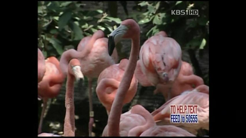 지진 직전, 동물들 이상 행동 보여