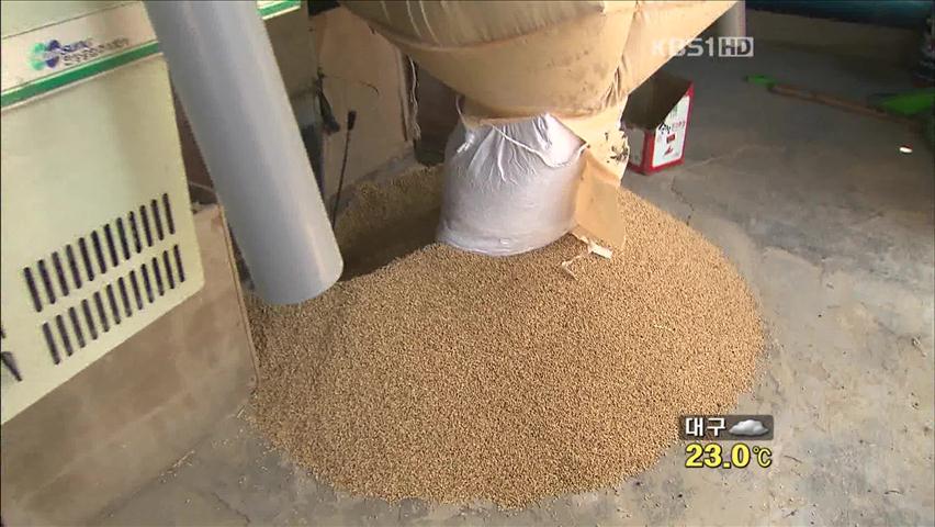 올해 쌀 생산량 심각한 감소…이유는?