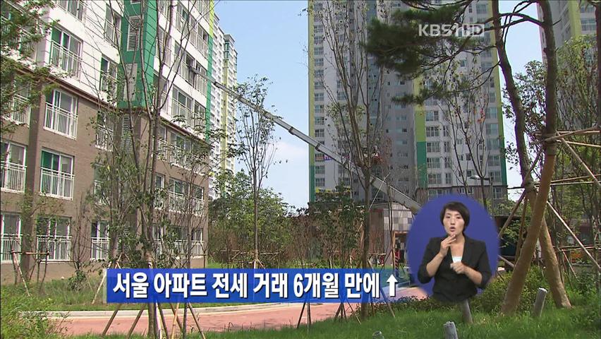 서울 아파트 전세 거래 6개월 만에 증가