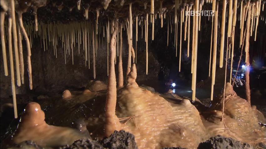 제주의 신비 ‘용천동굴’, 원형 그대로 보존