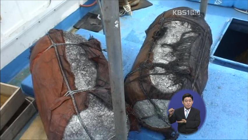 밍크고래 불법 포획·유통 무더기 검거