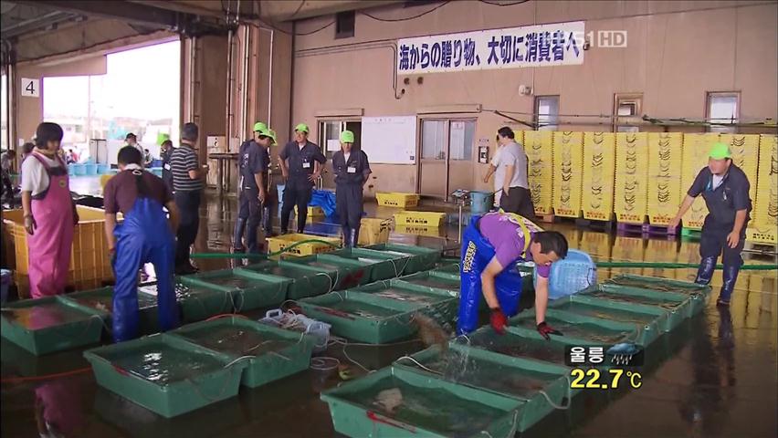 日 후쿠시마 인근 수산물 국내 수입