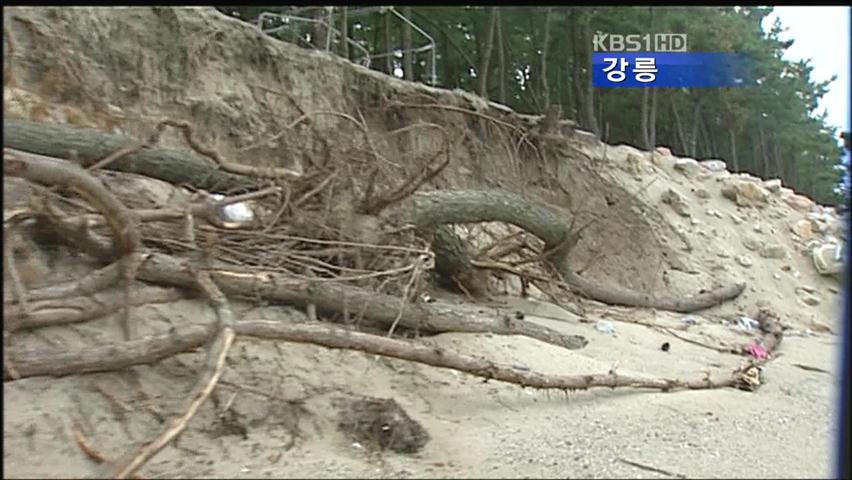 항구 공사로 해안침식…곳곳이 위험