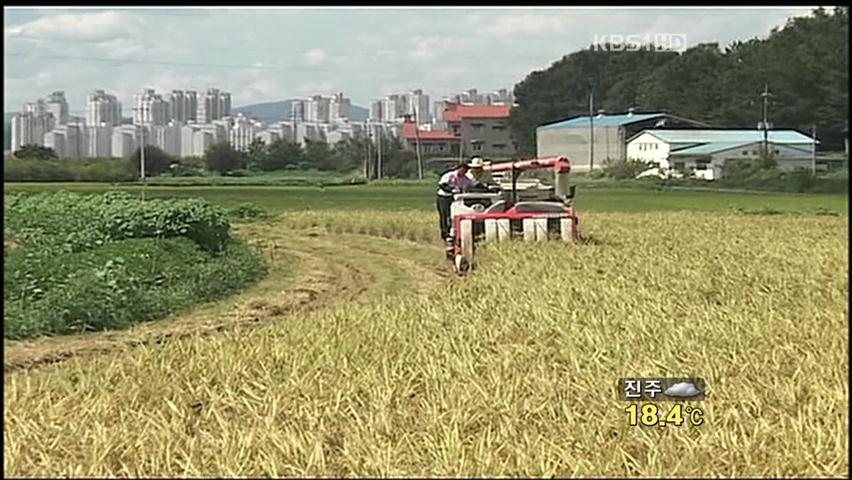 ‘성큼’ 다가온 가을…농가들도 분주