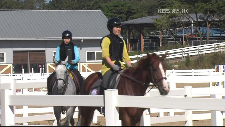 인천시, “레저세율 인하 반대”