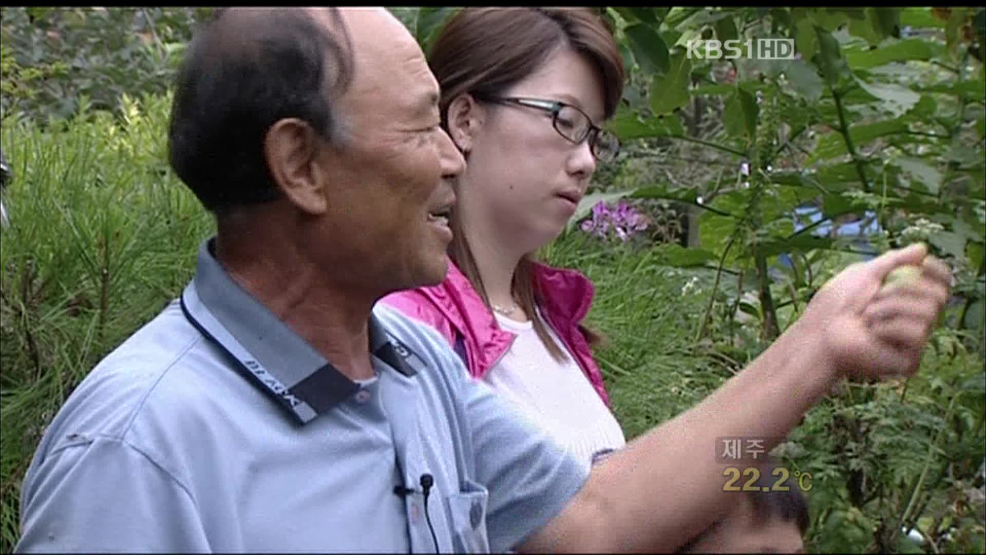 산야초, 건강과 소득지킴이로