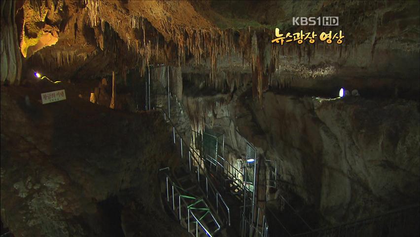 [뉴스광장 영상] 천동동굴