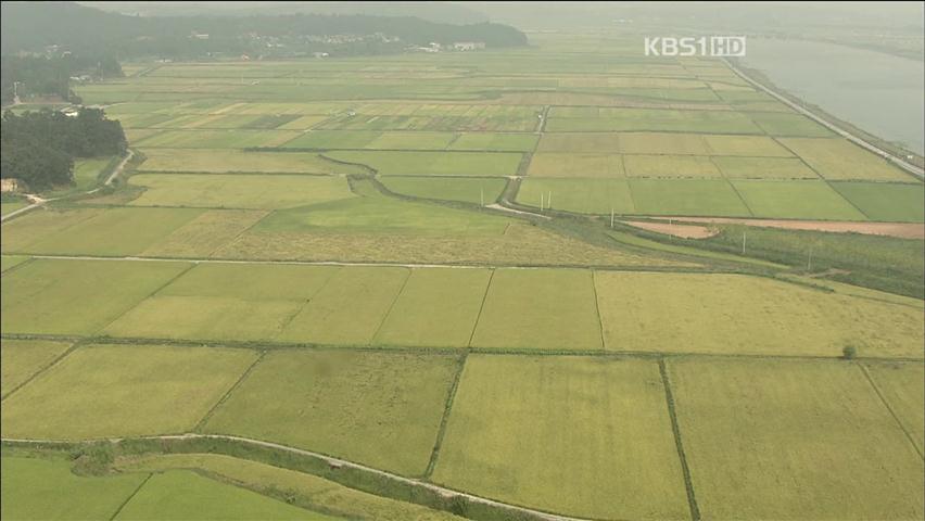 늦더위 속 가을 성큼…내일부터 기온 ‘뚝’