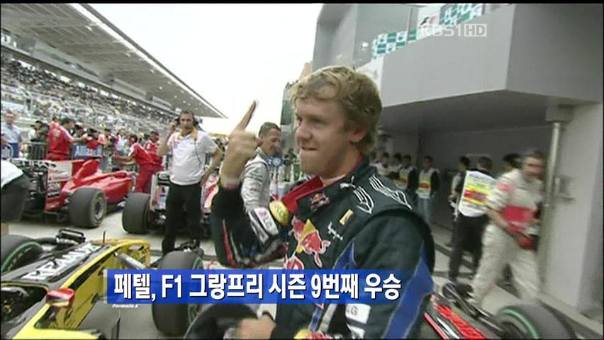 페텔, F1 그랑프리 시즌 9번째 우승