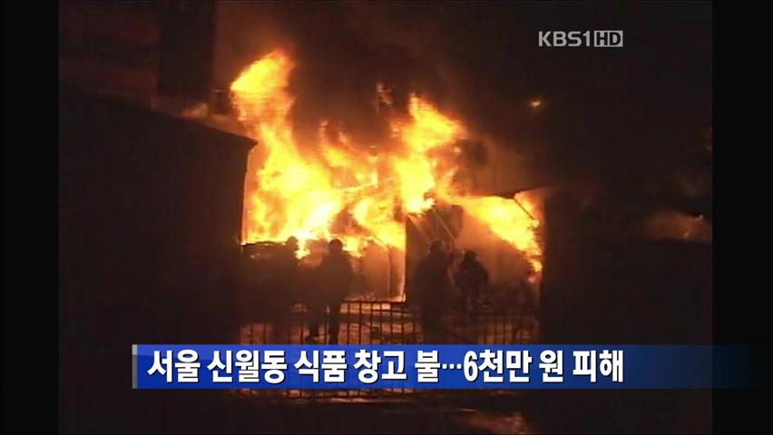 서울 신월동 식품 창고 불…6천만 원 피해