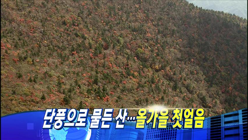 헤드라인