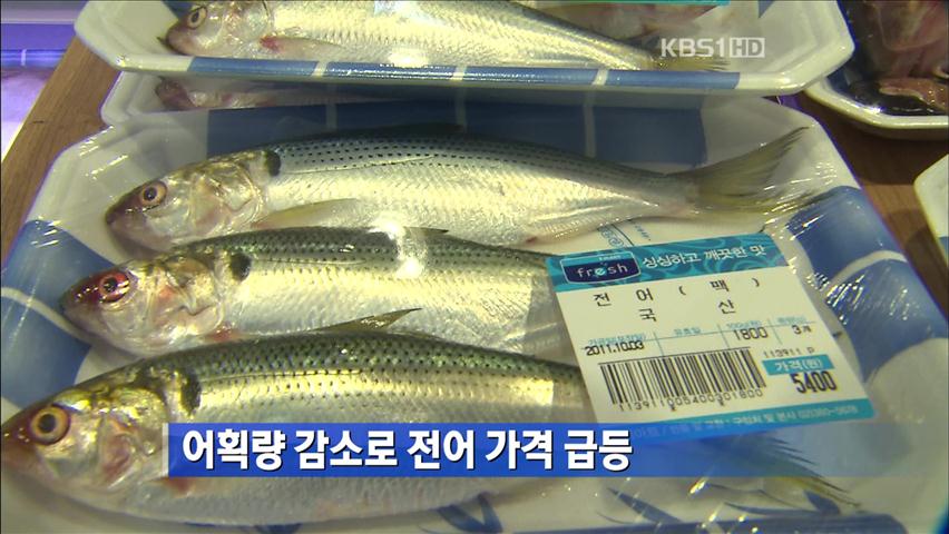 어획량 감소로 전어 가격 급등