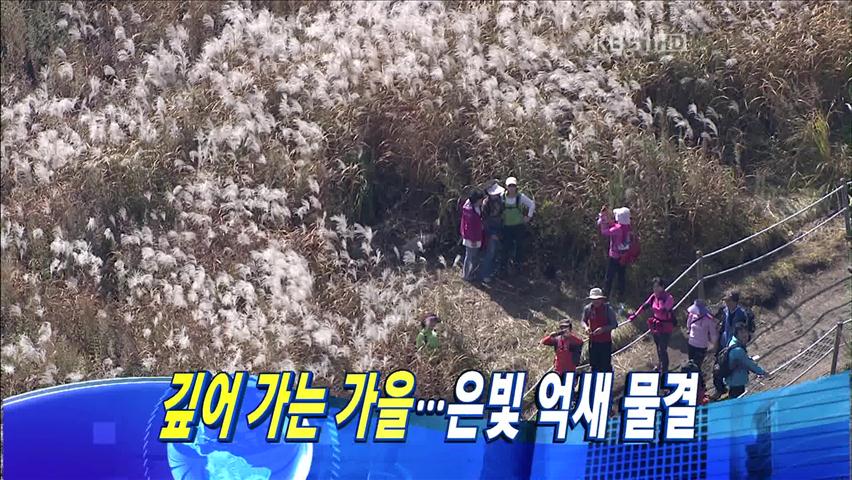 헤드라인