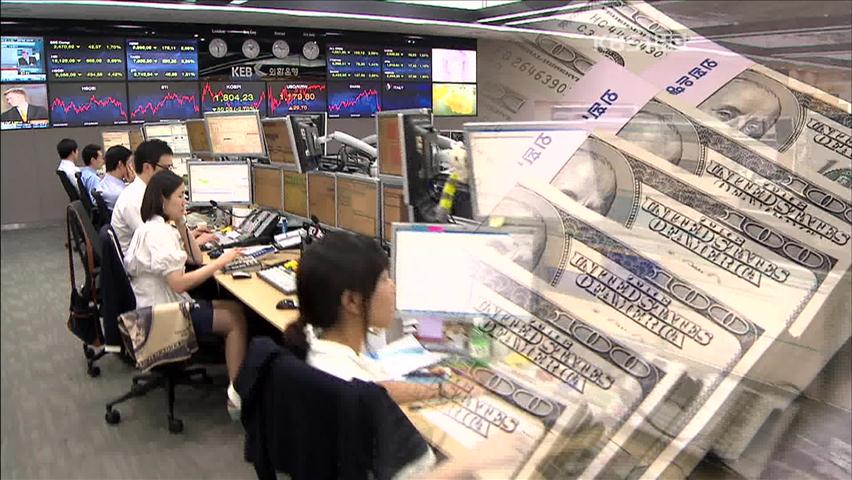 “외국인 자본 규제해야”…토빈세 도입 현실화되나?